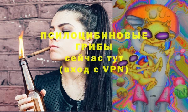 стаф Лабытнанги