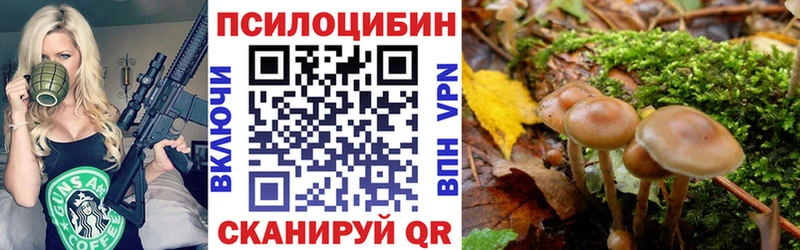 дарк нет клад  Новоалтайск  Псилоцибиновые грибы Psilocybe  купить закладку 